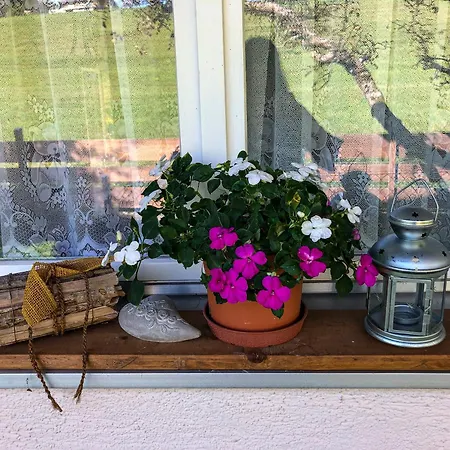 Grosszuegige Ferienwohnung Mit Alpenblick Nahe Thun Steffisburg