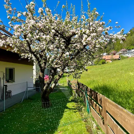 Zulg-ein Zuhause In Der Ferne