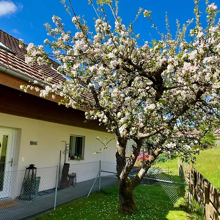 Grosszuegige Ferienwohnung Mit Alpenblick Nahe Thun アパート