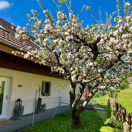 Zulg-ein Zuhause In Der Ferne Apartment