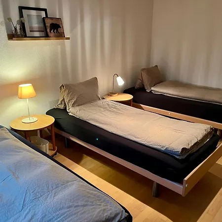 Grosszuegige Ferienwohnung Mit Alpenblick Nahe Thun * Steffisburg