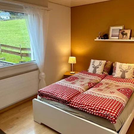 Apartment Grosszuegige Ferienwohnung Mit Alpenblick Nahe Thun Steffisburg