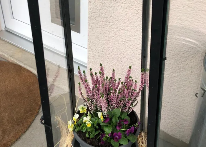 Apartment Grosszuegige Zwischen Bern Und Interlaken Steffisburg