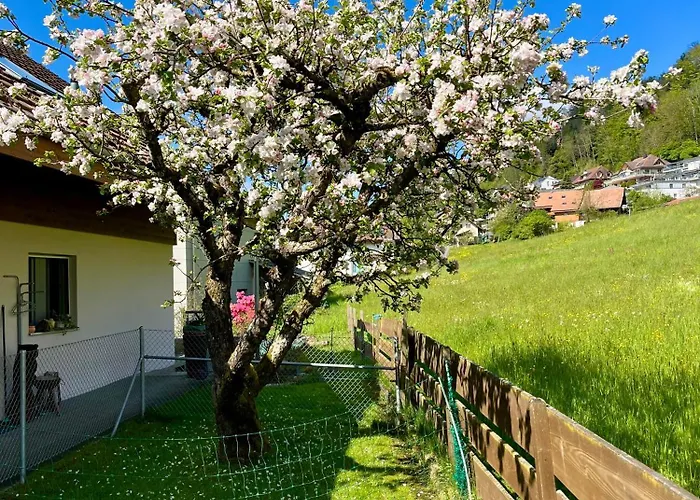 Grosszuegige Zwischen Bern Und Interlaken